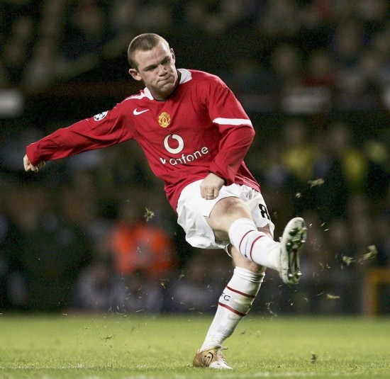 引入威尔逊 引入威尔逊